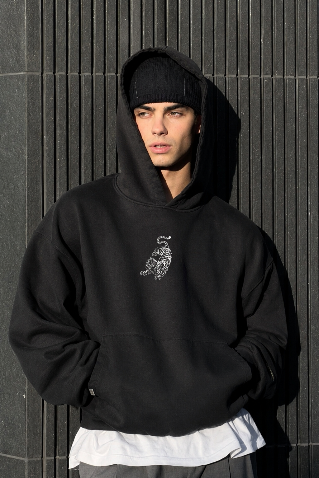 tiger and dragon dance  Hoodie